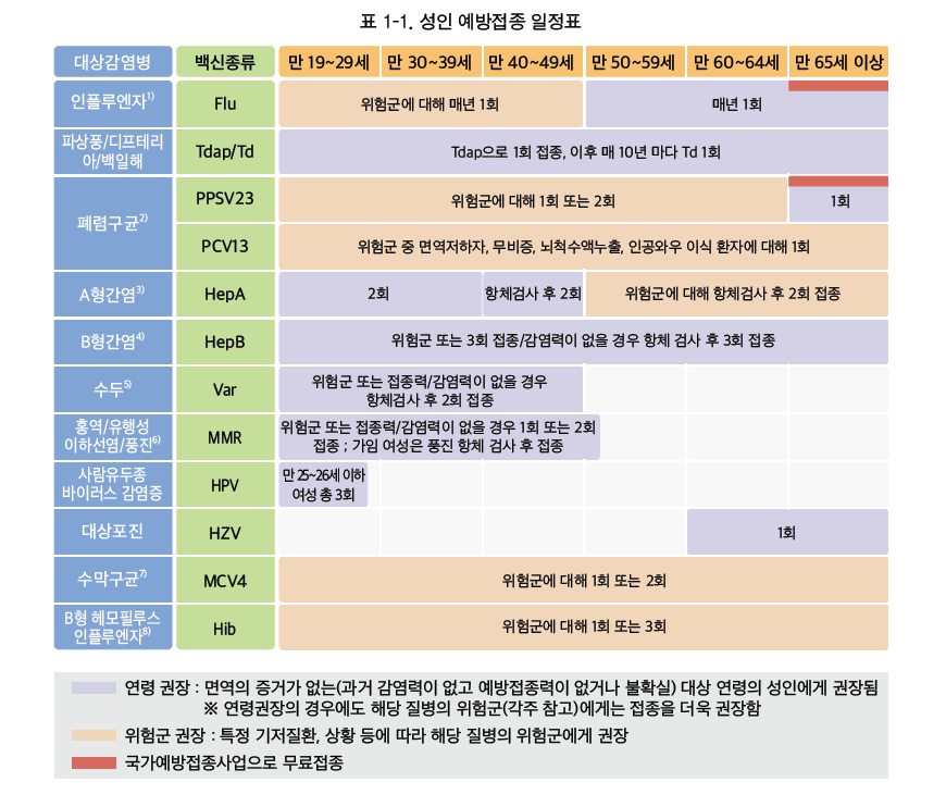성인예방일정표