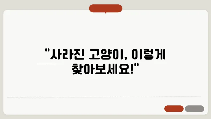 고양이 찾는 방법