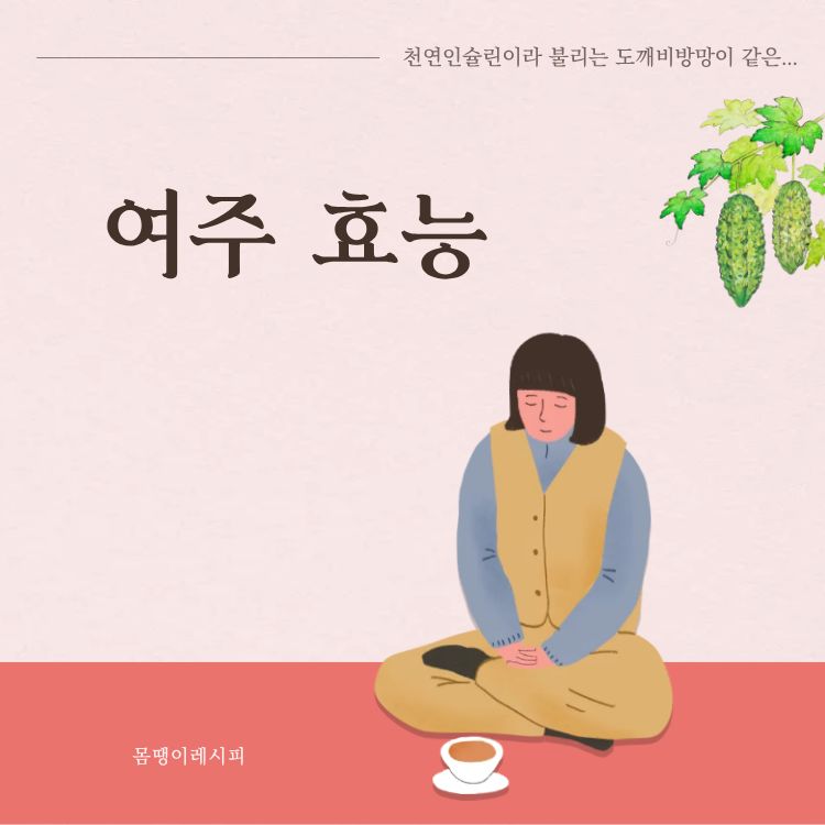 여주 효능