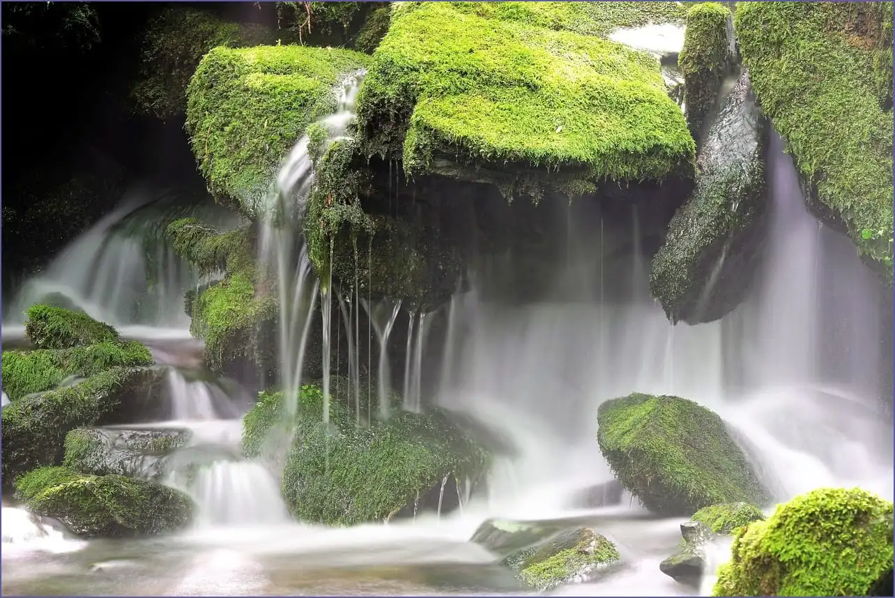 에스코어드림 폰트