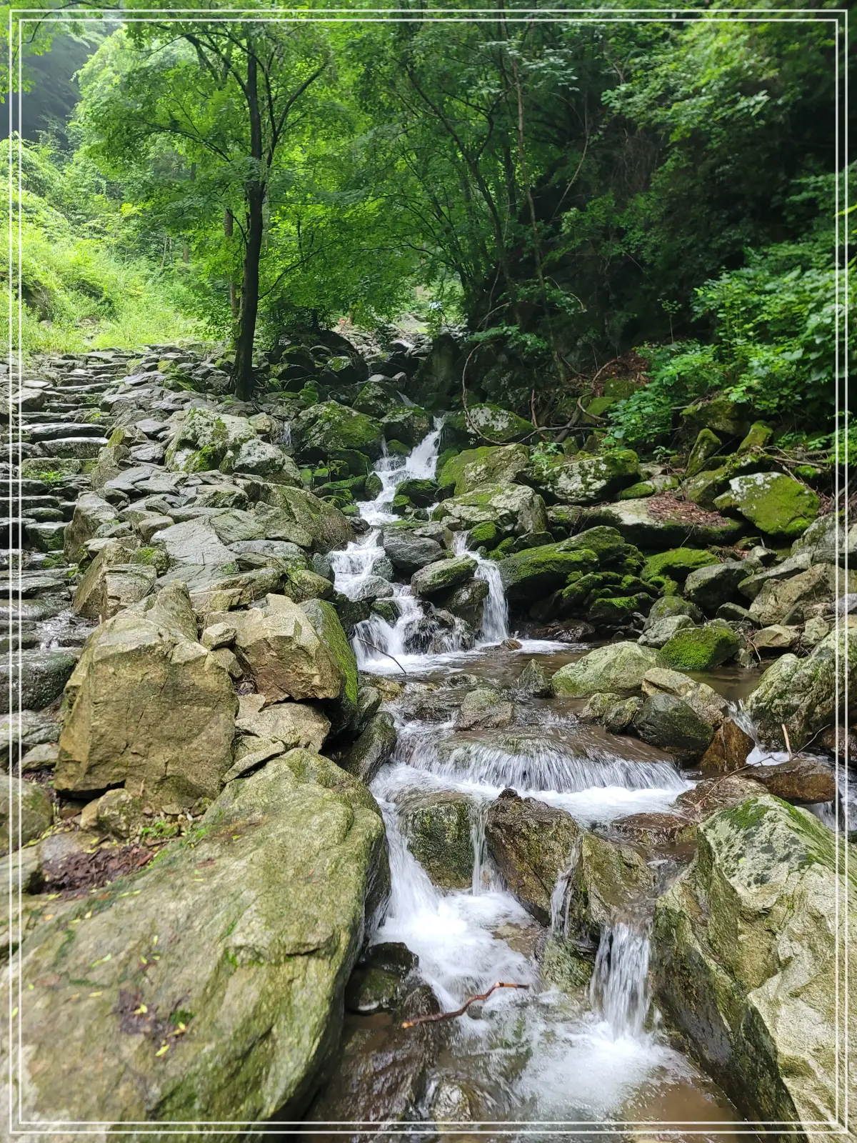 무주채폭포-가는길-돌계단-옆-계곡물