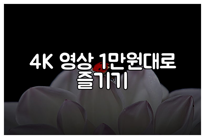 4K 영상 1만원대로 즐기기