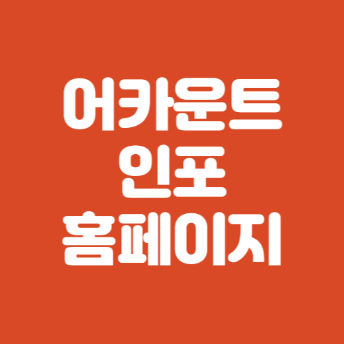 어카운트 인포 홈페이지