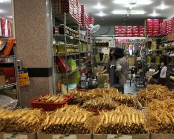 풍기 인삼축제_10