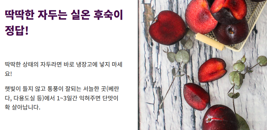 자두 보관방법