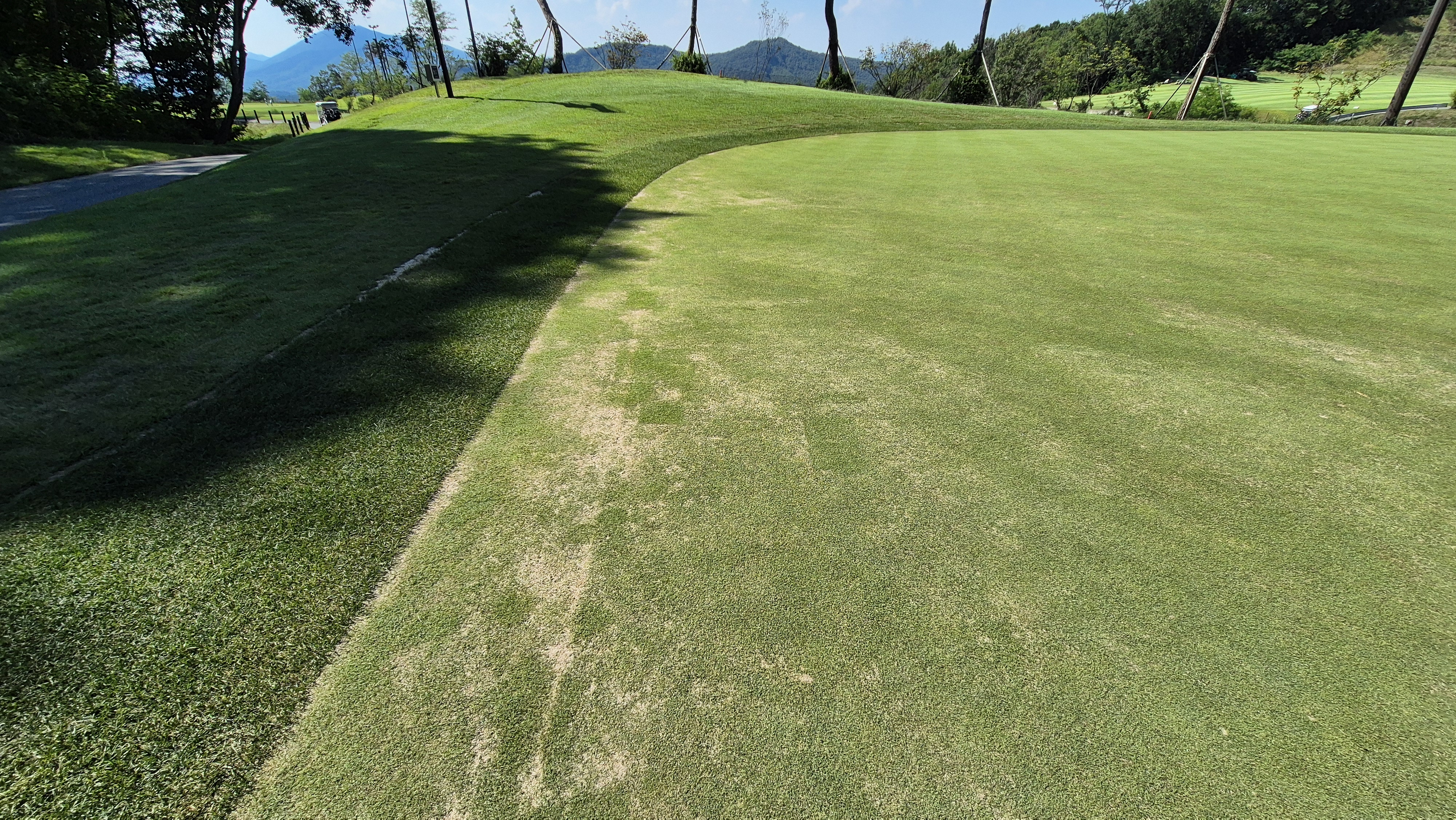 힐데스하임cc 밸리-레이크 코스 라운드 후기