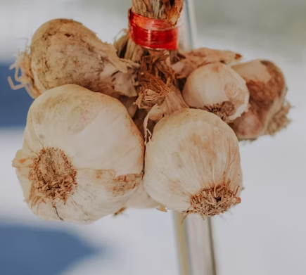 마늘 효능 효과 부작용 당뇨 혈관 건강