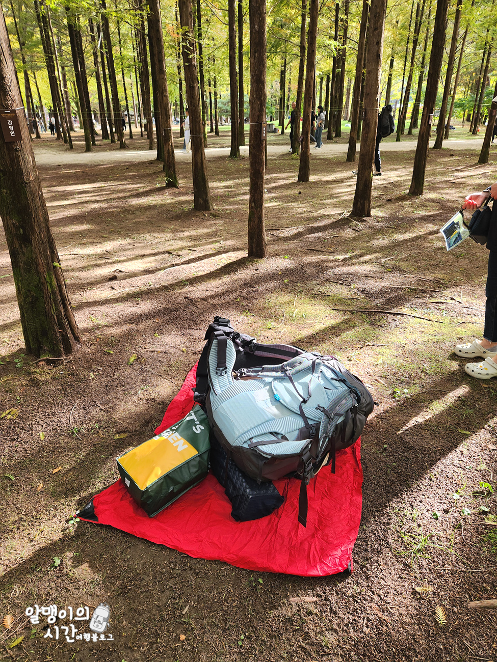 #27 엄마랑 춘천 남이섬 모녀 백패킹 _캠핑 초보자 박지 추천 - undefined - 남이섬 캠핑존 #27 엄마랑 춘천 남이섬 모녀 백패킹 _캠핑 초보자 박지 추천 - undefined - 남이섬 캠핑존