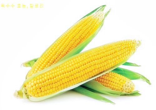 옥수수 효능