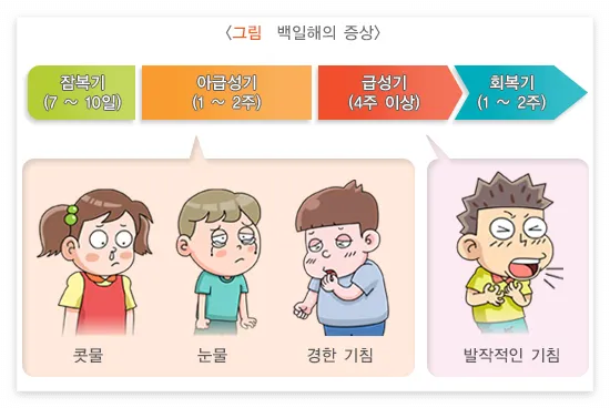 백일해 증상