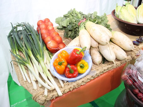 평창 고랭지 김장 축제