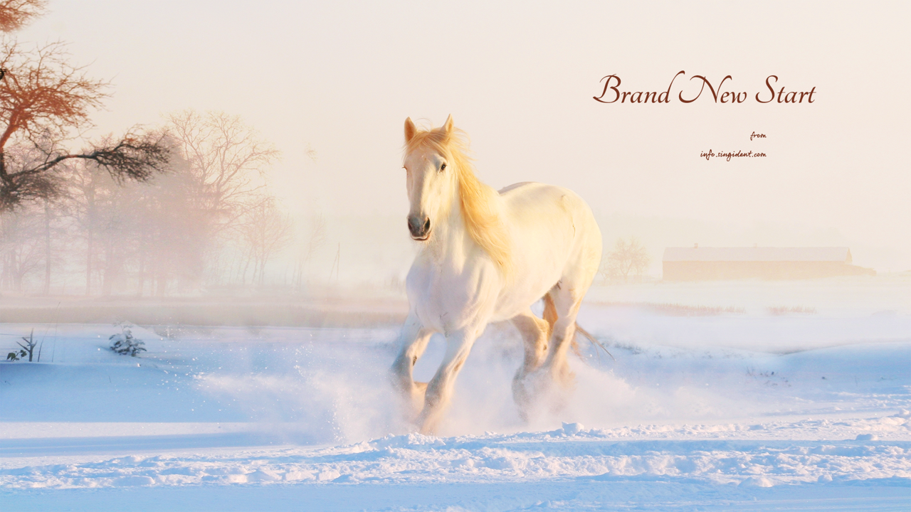 02 눈 위를 달리는 흰색 말 C - Brand New Start 말배경화면