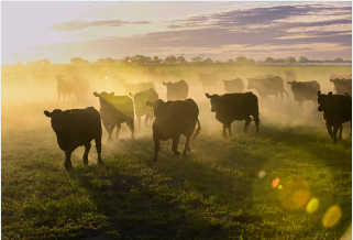 농지대장 발급방법