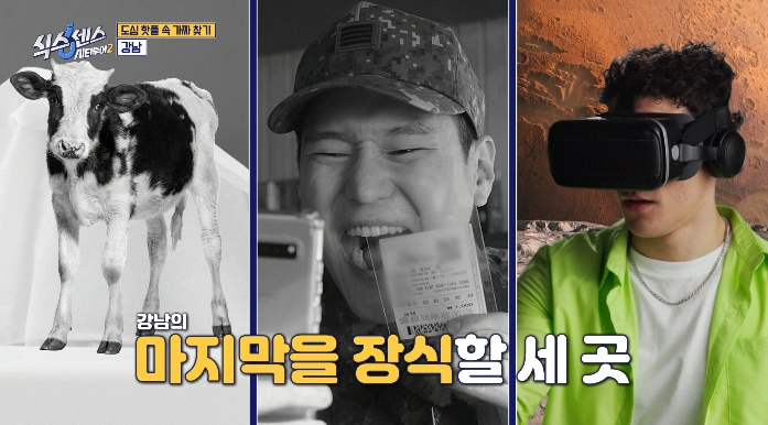 식스센스시티투어2-강남-가짜는-어디