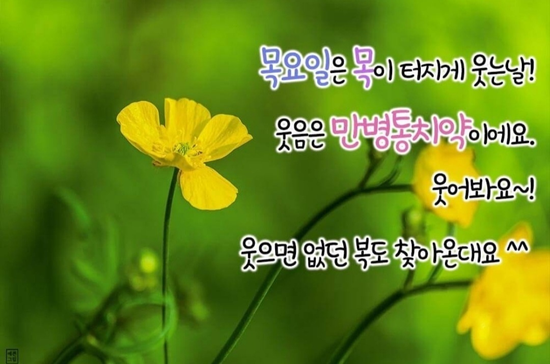 목요일 인사말 5