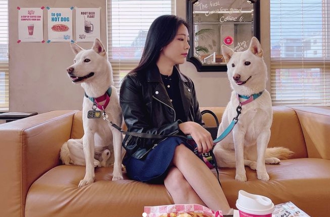 개조이 견주 나이 결혼 유튜브 채널 수익과 인스타 공개