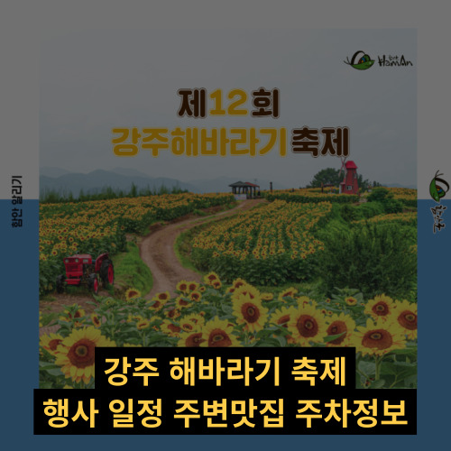 강주해바라기 축제 일정 프로그램 함안 맛집 주변 즐길거리 주차 정보