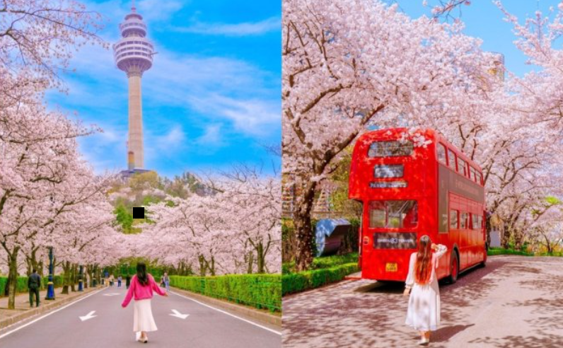 대구 여행 가성비 숙소 호텔 추천 BEST 06 + 2024 호텔스닷컴 할인코드