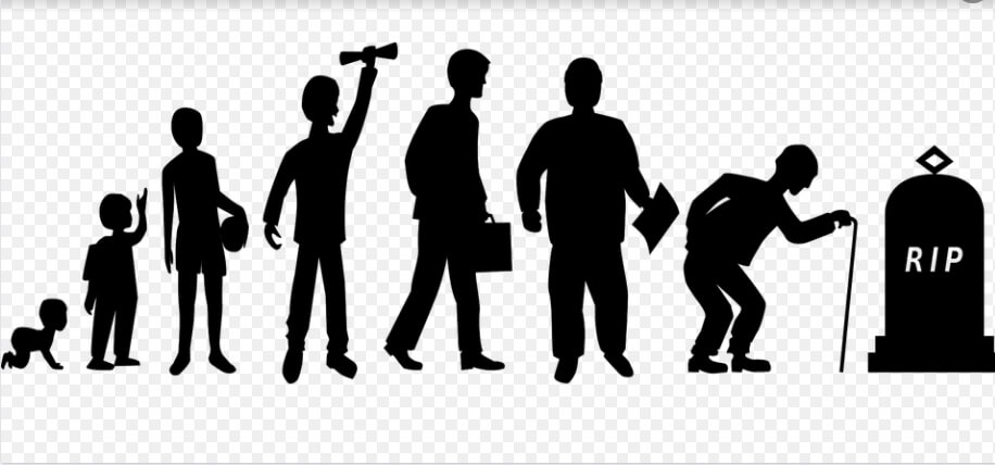 사람이 나이에 따라 변하는 모습