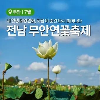 무안 가볼만한곳 베스트10 현지인 추천 필수코스_2