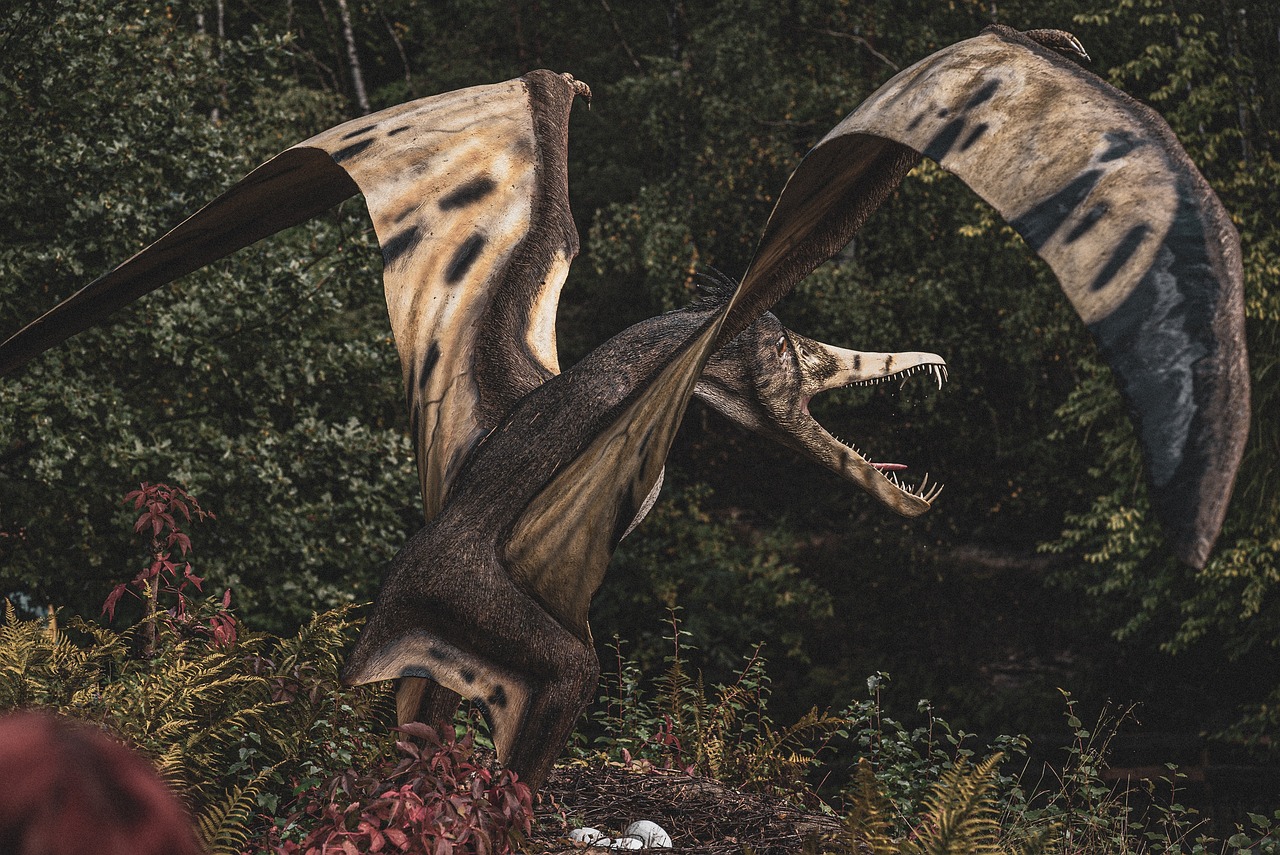 2025 연천구석기축제 정보 총정리