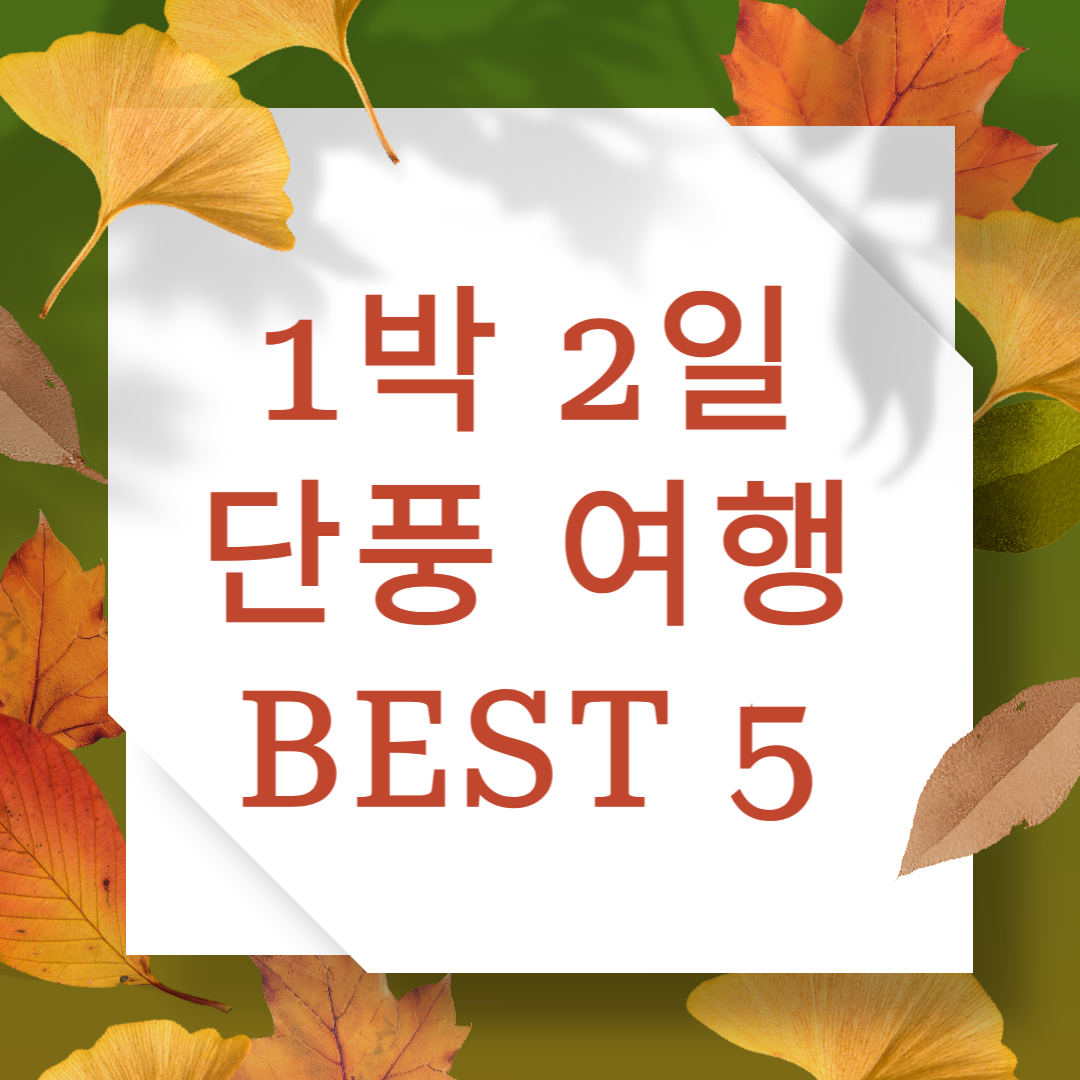 1박 2일 단풍 여행 BEST 5 -설악산,오대산, 불국사, 남이섬, 내장산