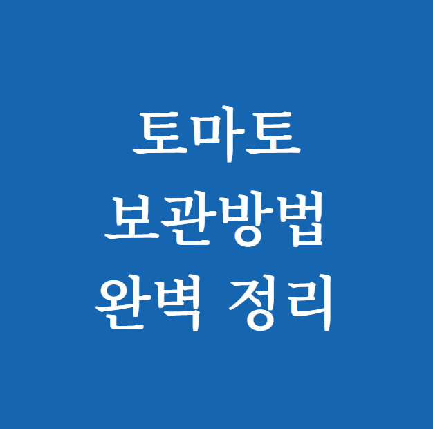 토마토 보관방법 썸네일