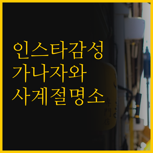 인스타 피드를 갤러리로 바꾸는 가나자..