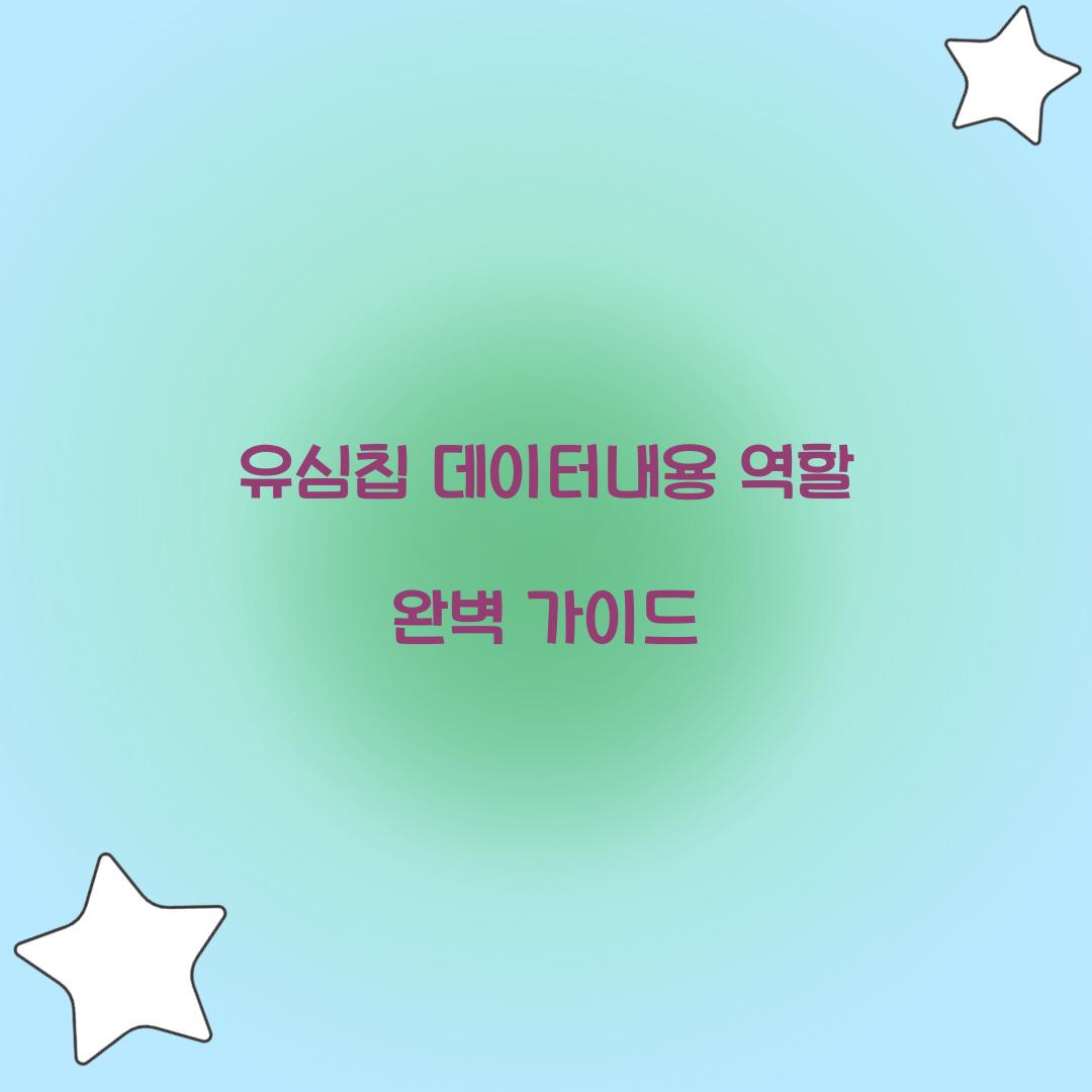 유심칩 데이터내용 역할