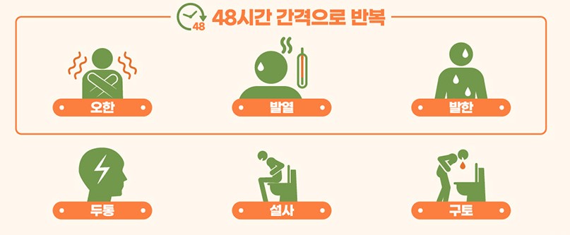 말라리아-증상