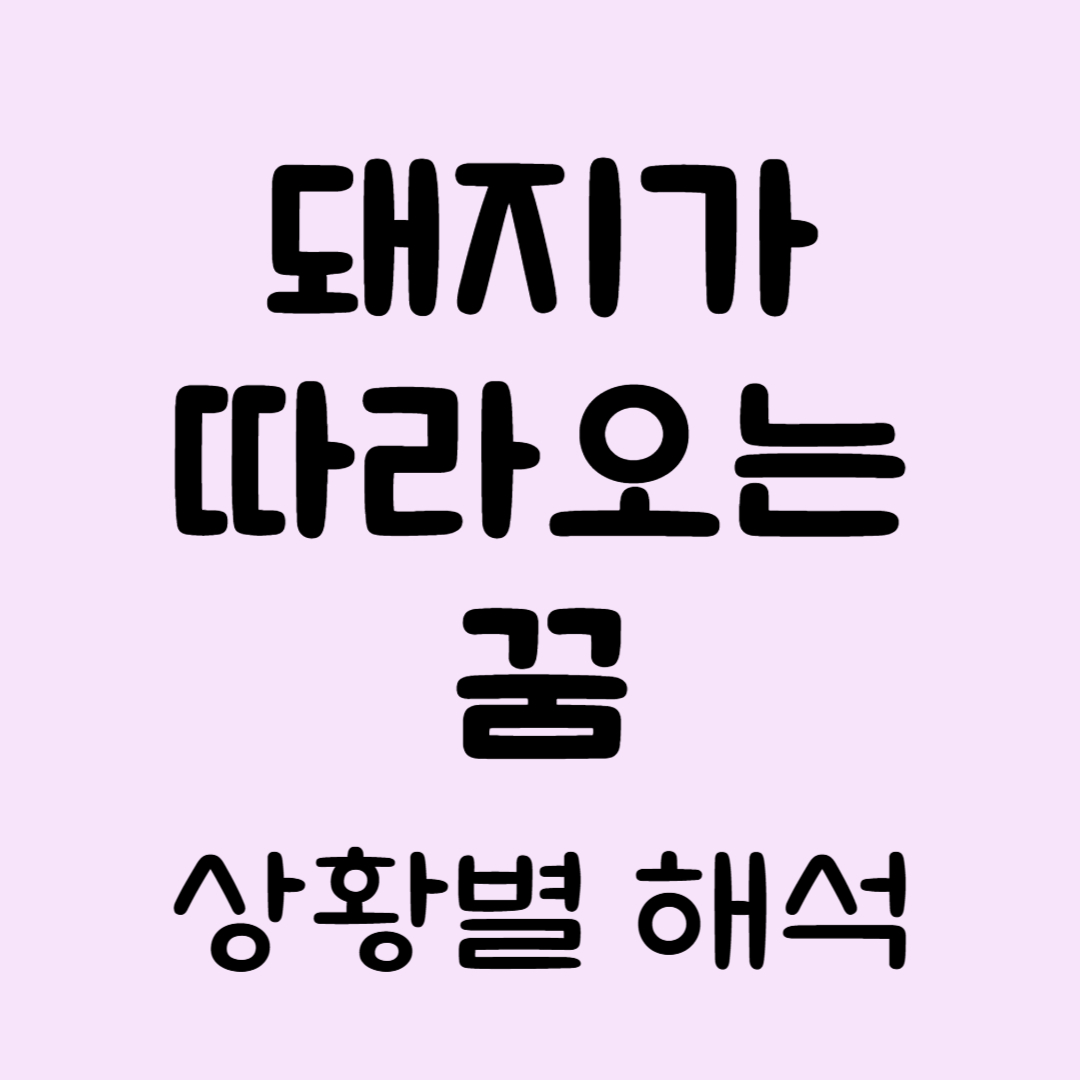 돼지가따라오는꿈