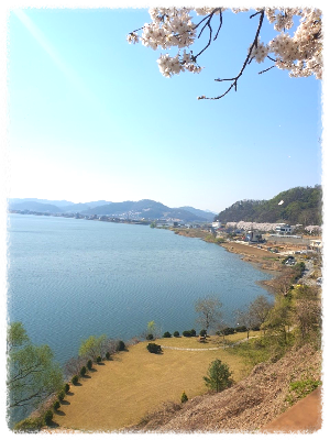 탄금호
