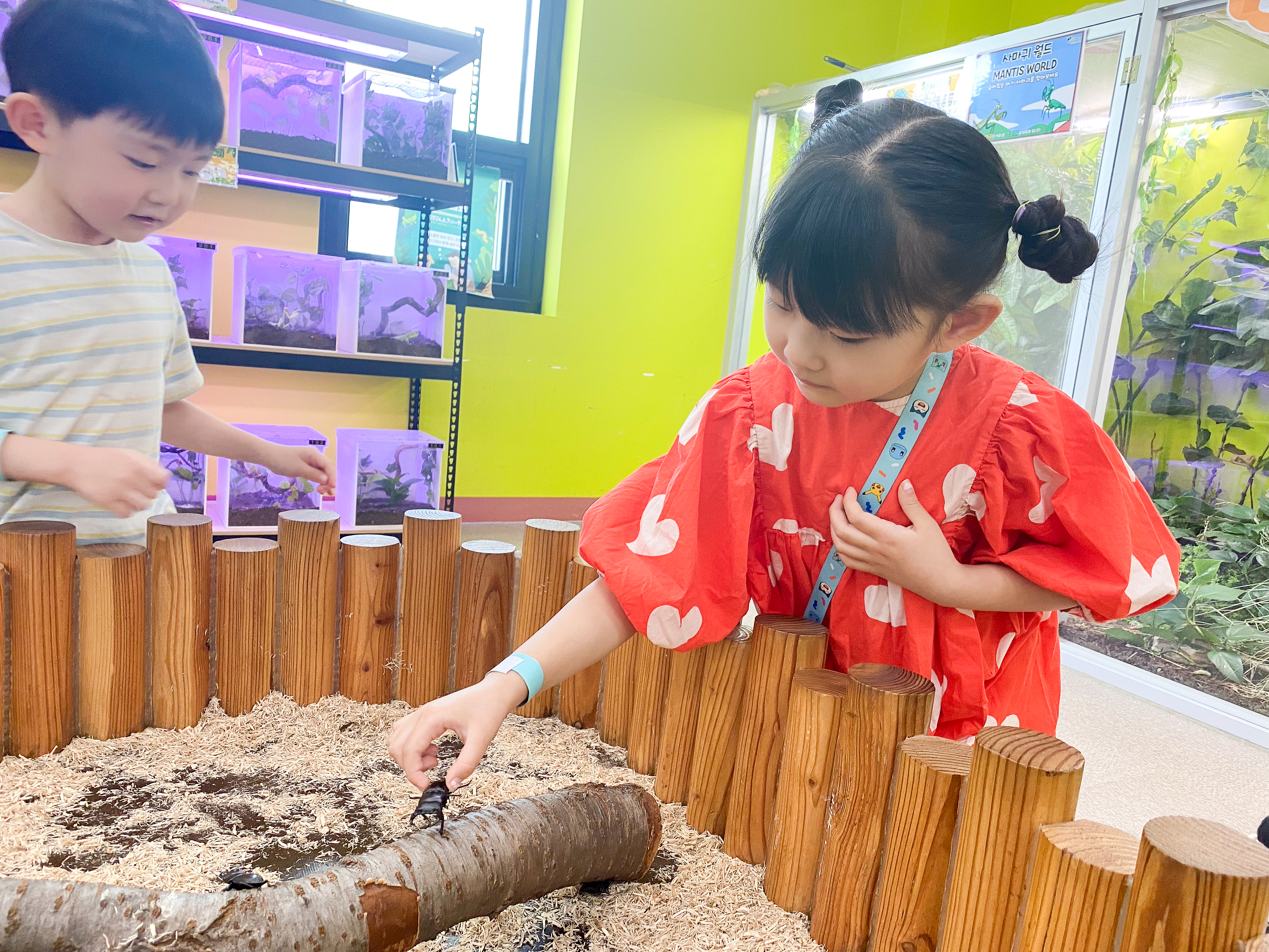 사슴벌레 만져보기