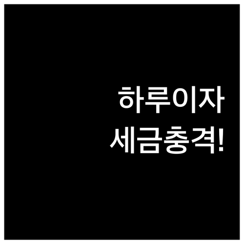 하루 단위로 쌓이는 마이너스통장 이자..