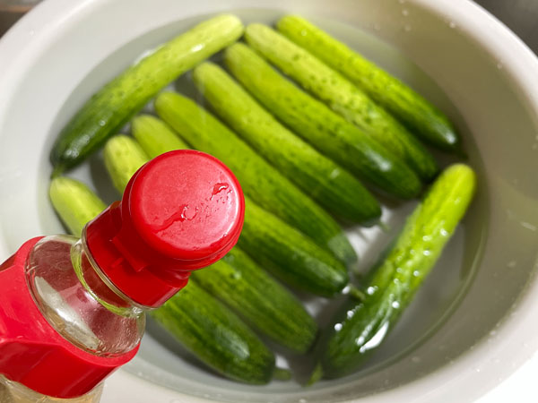 오이 식초물에 담그기