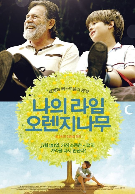 나의 라임 오렌지나무