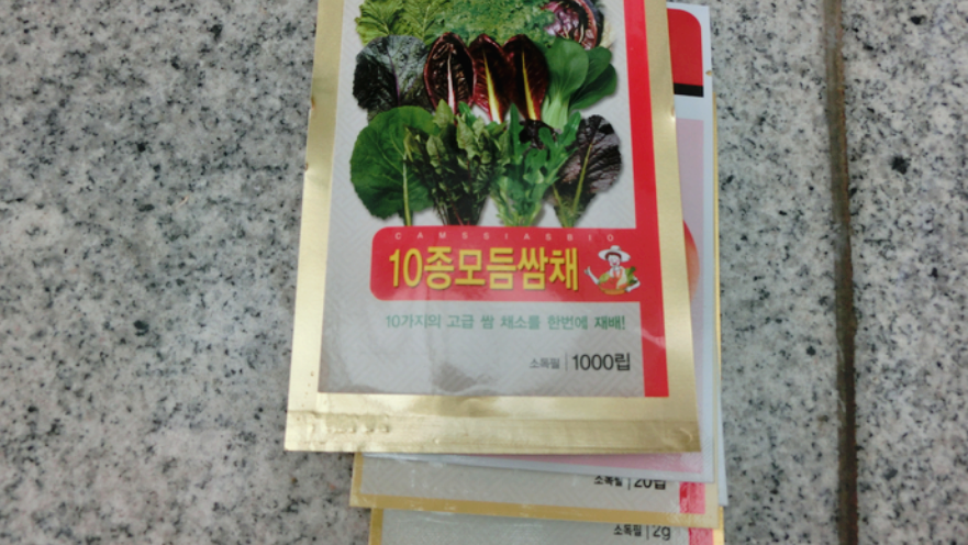 베란다텃밭 가꾸기 이틀만에 새싹이 났어요!(+ 베란다 야채키우기)