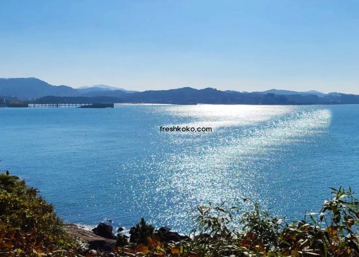 보령 가볼만한곳