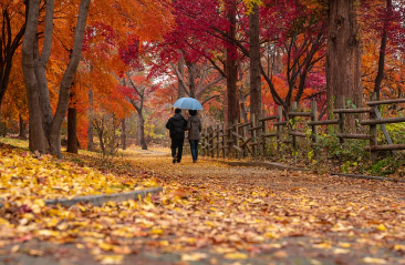 25년 단풍시기 경기도 단풍명소