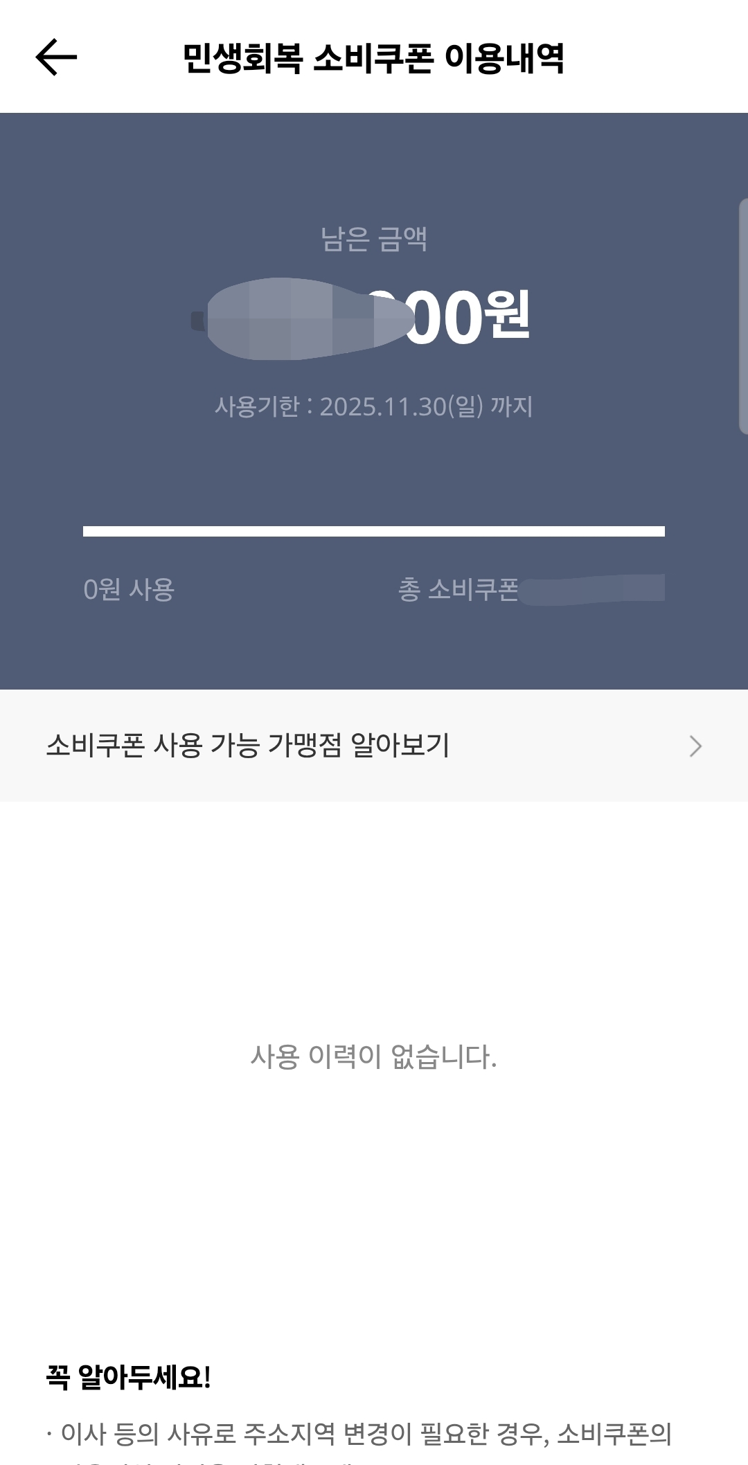 민생회복소비쿠폰-이용내역