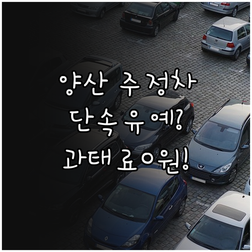 양산시 주정차 단속 알림 서비스 유예..