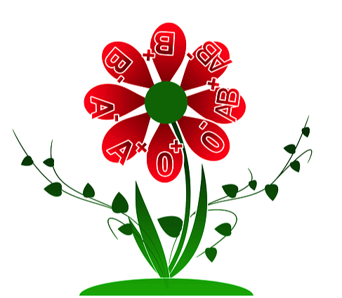 붉은색의 혈액을 닮은 꽃이 있다. 꽃잎은 붉은색, 잎은 초록색이다.