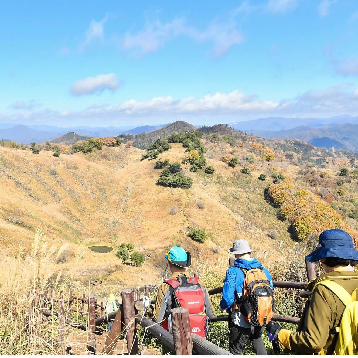 민둥산 억새꽃축제