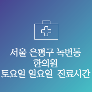 서울 은평구 녹번동 주말 토요일 일요일 문여는 병원 진료시간