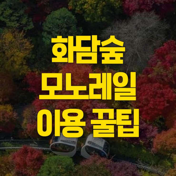 화담숲 모노레일 예약 썸네일