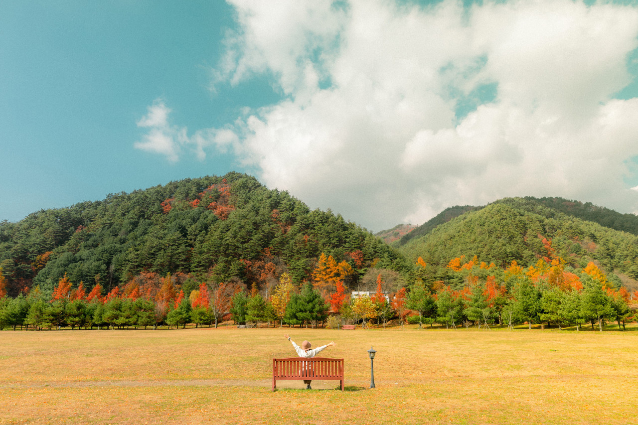 켄싱턴 프렌치가든