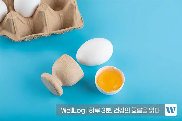 난각막가수분해물 효능, 복용법