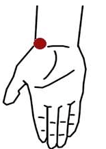 엄지손가락과 손목이 만나는 부위의 혈자리