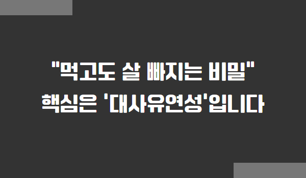 대사유연성 다이어트