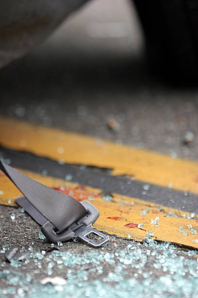 광복절-특별사면-음주운전-대상자-조회